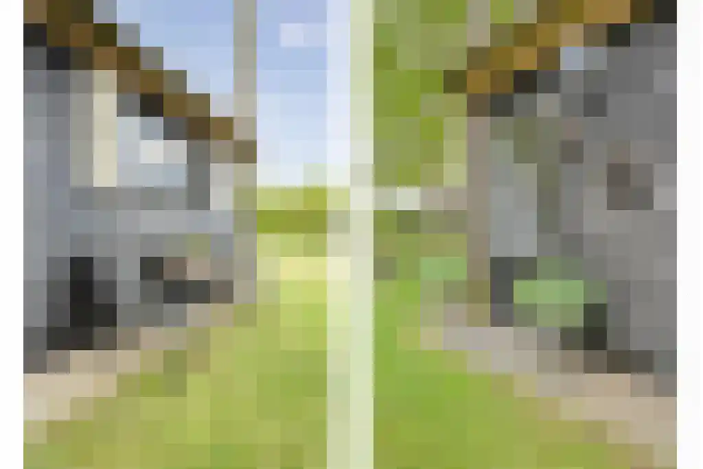 Schoolbosweg 1 Heino thumbnail 63