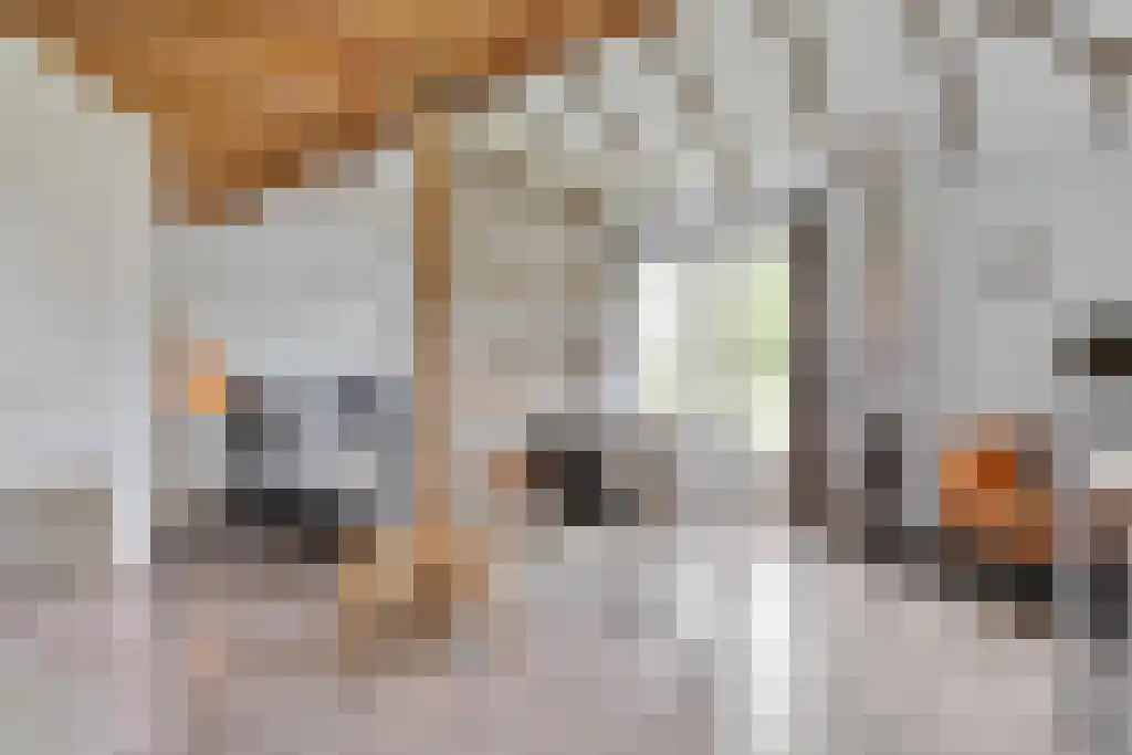 Schoolbosweg 1 Heino thumbnail 64