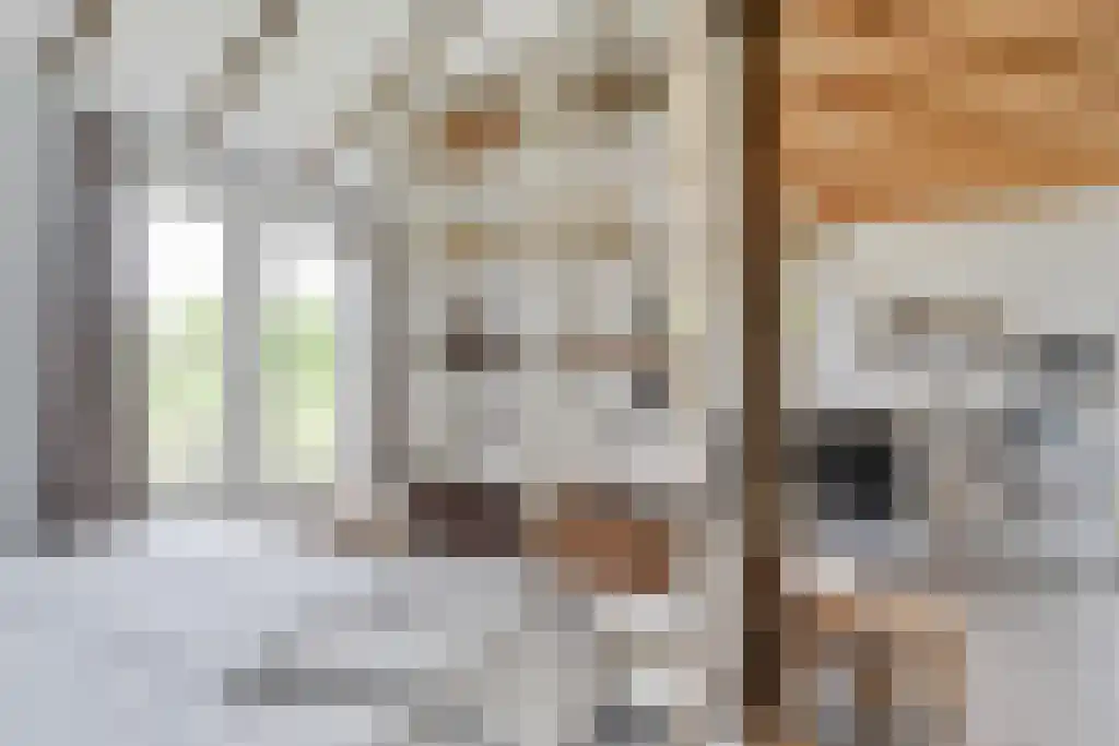 Schoolbosweg 1 Heino thumbnail 68