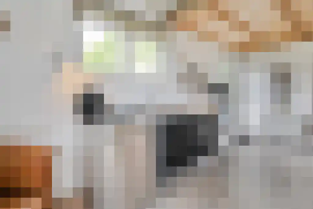 Schoolbosweg 1 Heino thumbnail 69