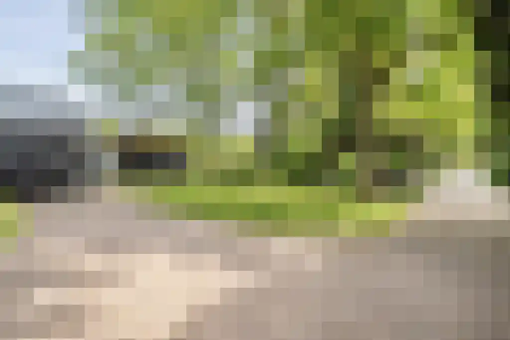 Schoolbosweg 1 Heino thumbnail 7