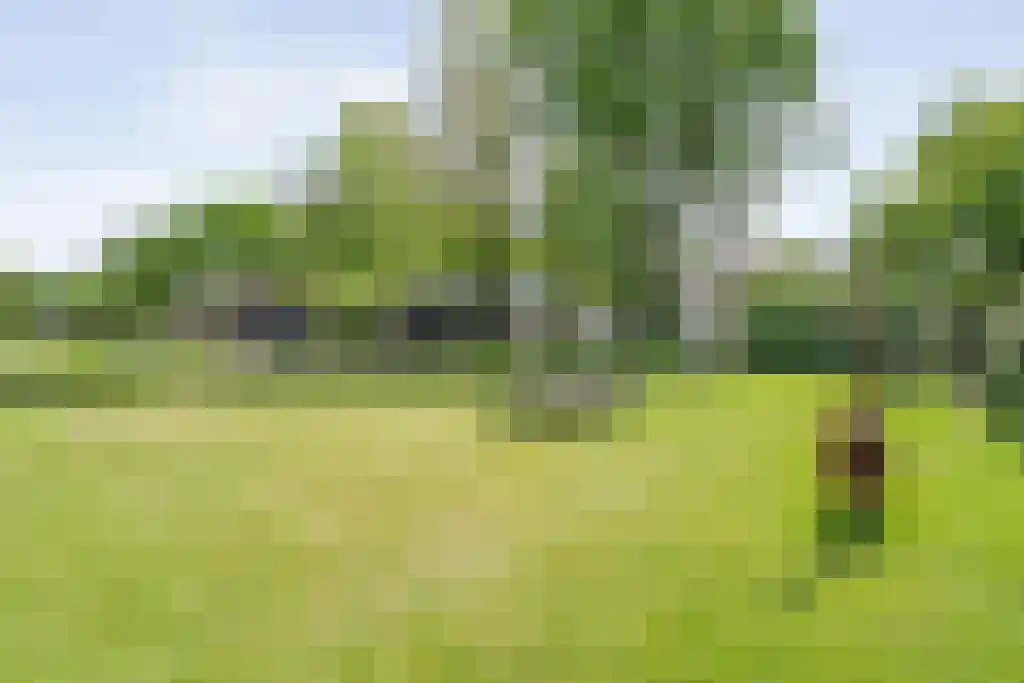 Schoolbosweg 1 Heino thumbnail 72