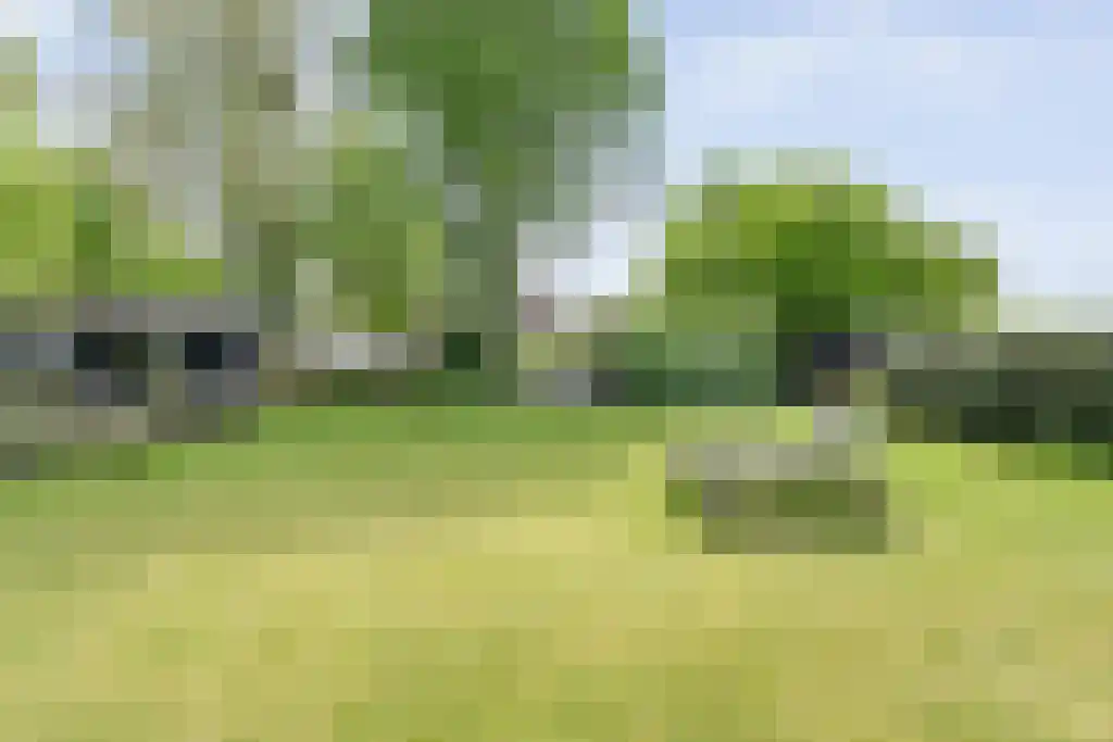 Schoolbosweg 1 Heino thumbnail 73