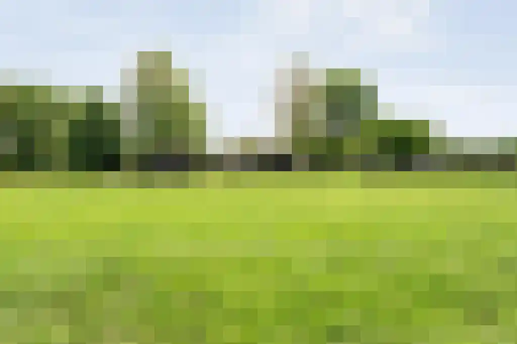 Schoolbosweg 1 Heino thumbnail 75