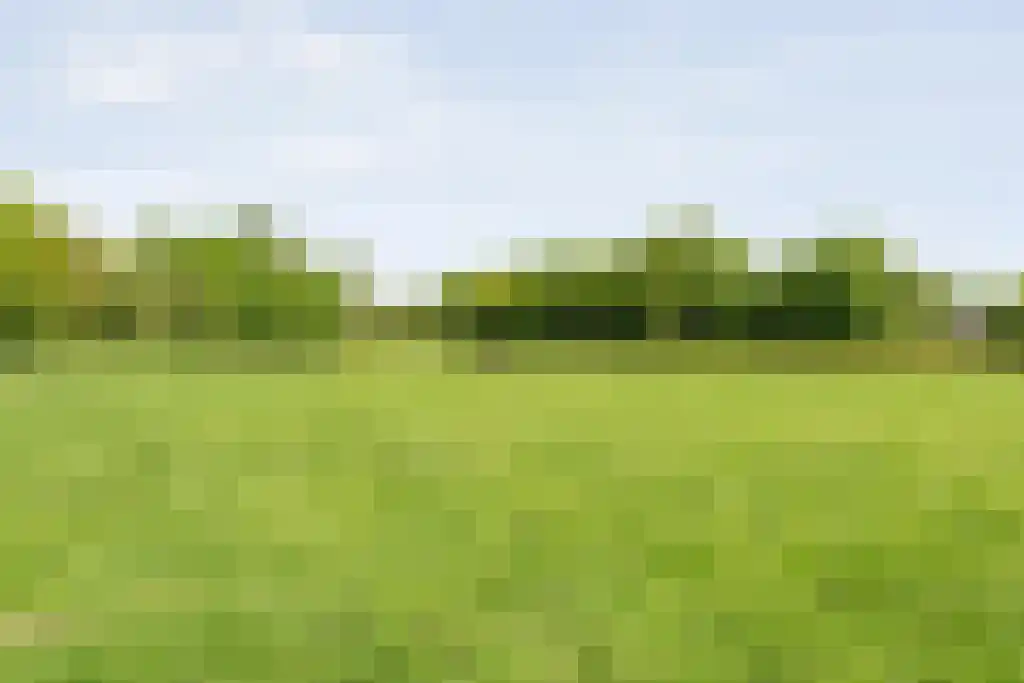 Schoolbosweg 1 Heino thumbnail 76