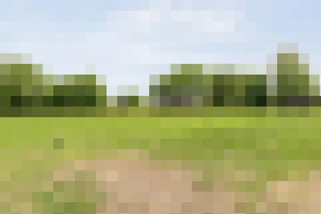 Schoolbosweg 1 Heino thumbnail 78