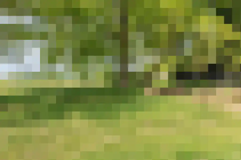 Schoolbosweg 1 Heino thumbnail 79