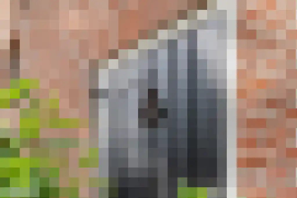 Schoolbosweg 1 Heino thumbnail 8