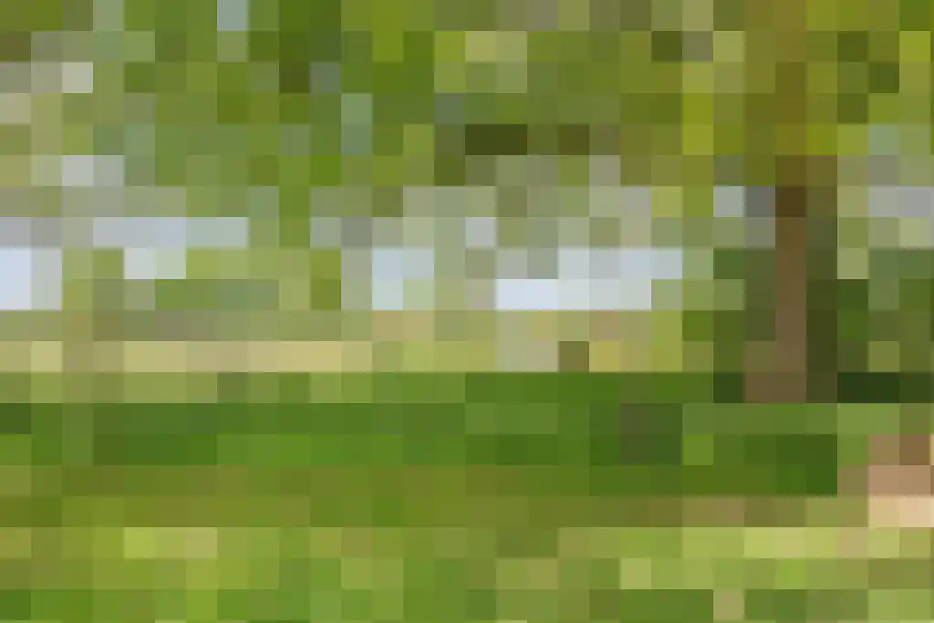 Schoolbosweg 1 Heino thumbnail 80
