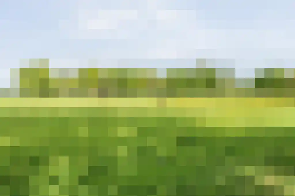 Schoolbosweg 1 Heino thumbnail 81