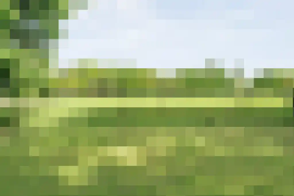 Schoolbosweg 1 Heino thumbnail 82