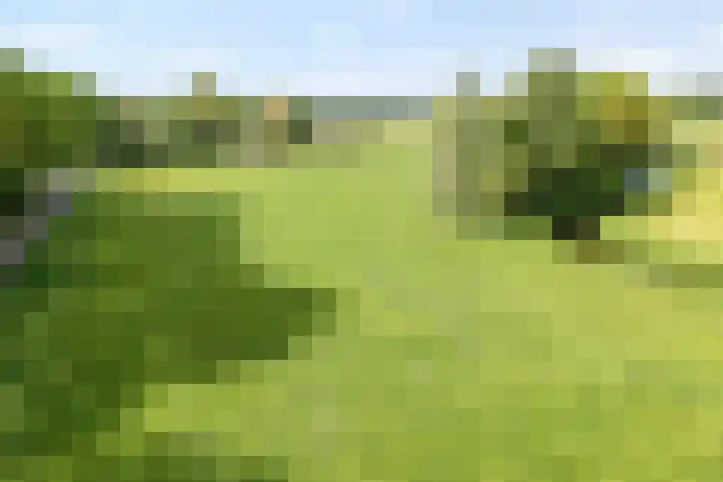 Schoolbosweg 1 Heino thumbnail 83