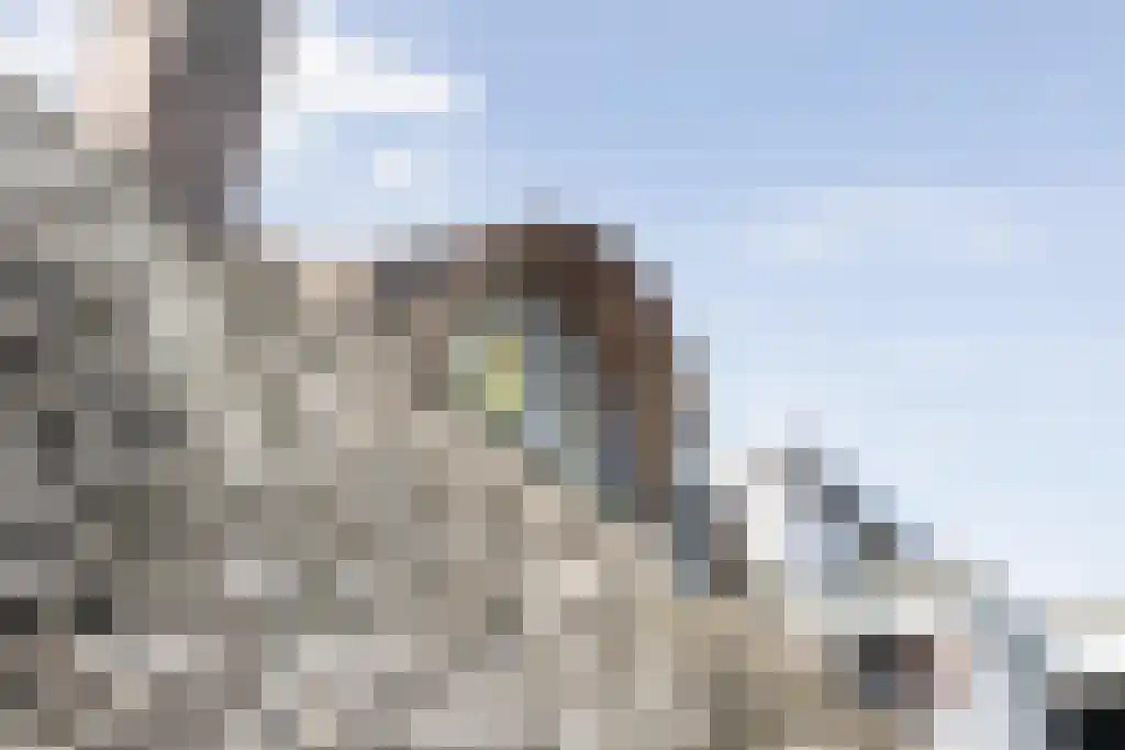 Schoolbosweg 1 Heino thumbnail 9