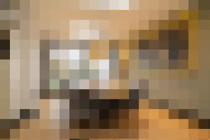 Schoolbosweg 11 Enschede thumbnail 13