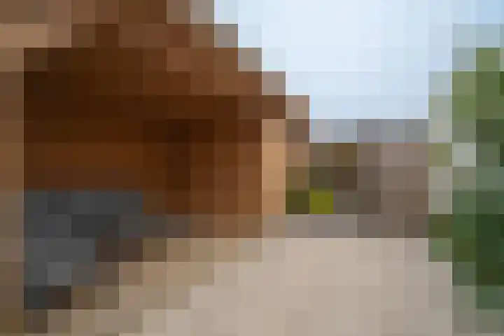 Schoolbosweg 11 Enschede thumbnail 29