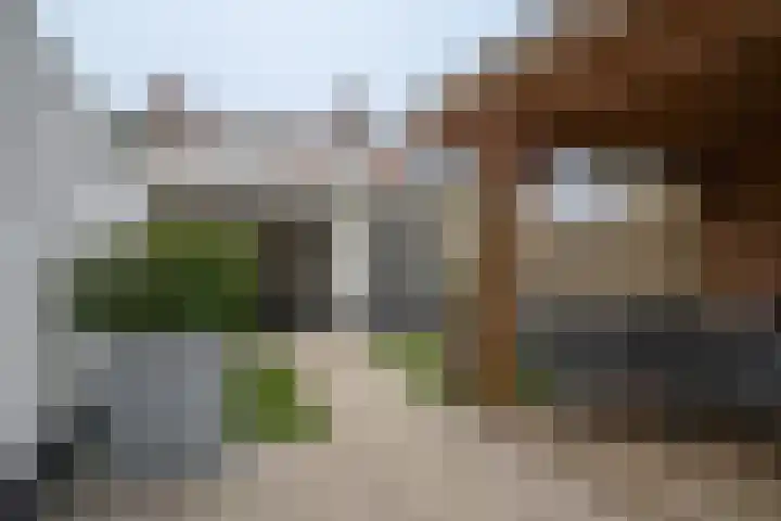 Schoolbosweg 11 Enschede thumbnail 4