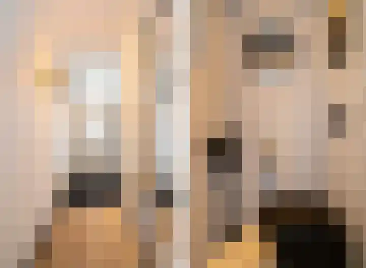 Schoolbosweg 11 Enschede thumbnail 7