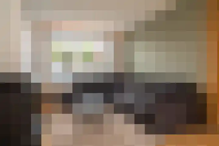 Schoolbosweg 11 Enschede thumbnail 8