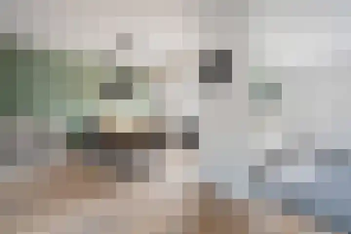 Schoolbosweg 14 Enschede thumbnail 11