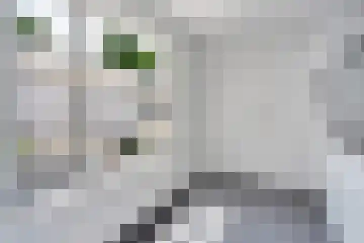 Schoolbosweg 14 Enschede thumbnail 13