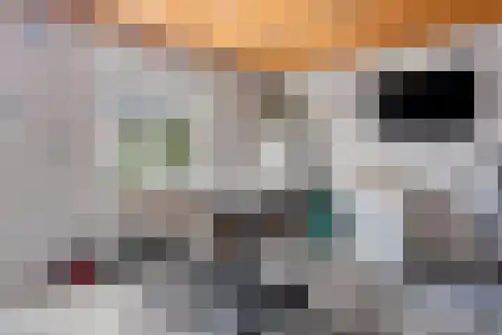 Schoolbosweg 14 Enschede thumbnail 32