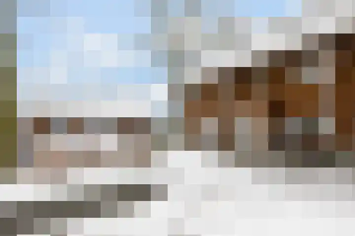 Schoolderserf 4 in Bathmen