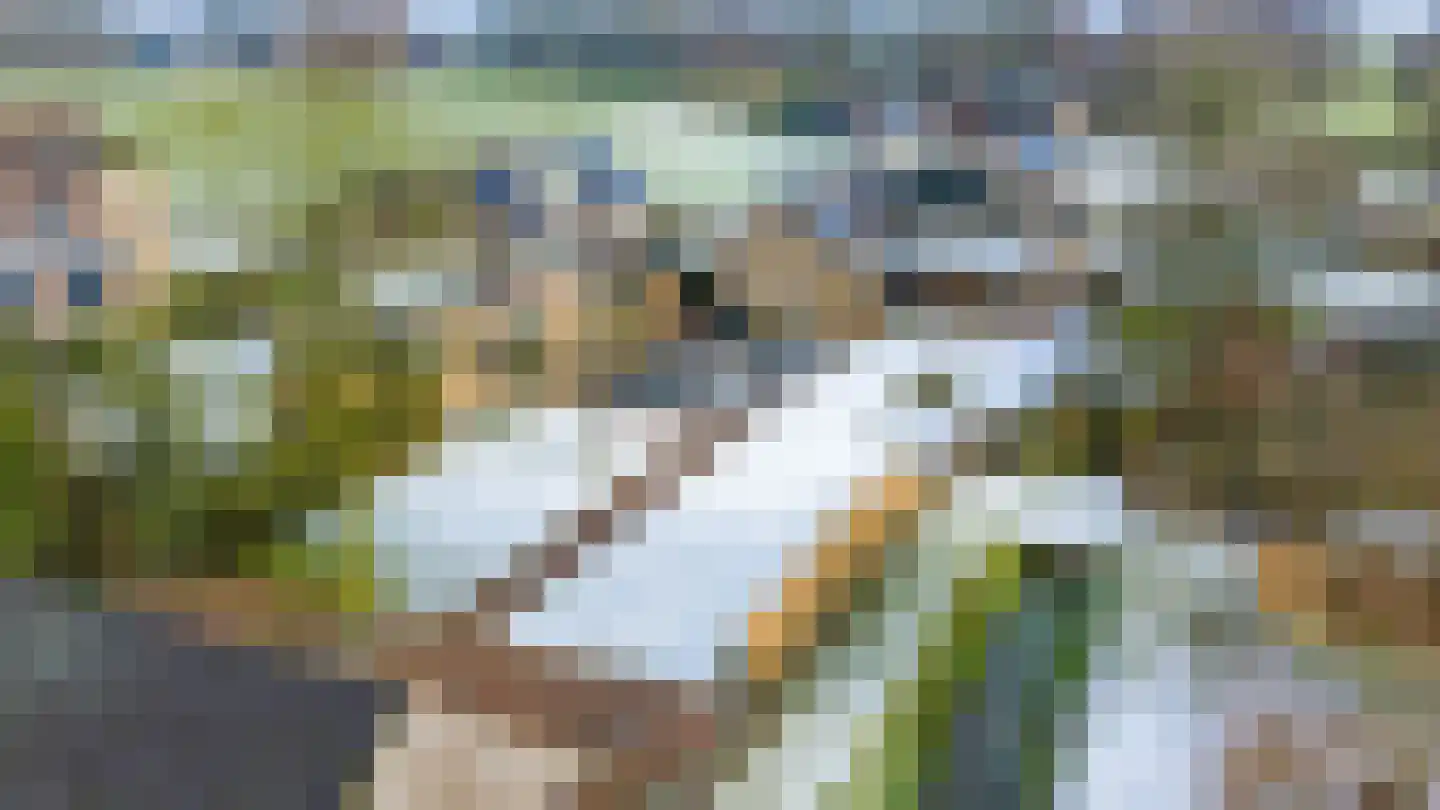 Schooldijk 13 Aalten thumbnail 33