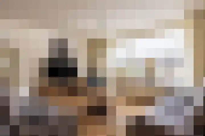 Schooldijk 13 Aalten thumbnail 9