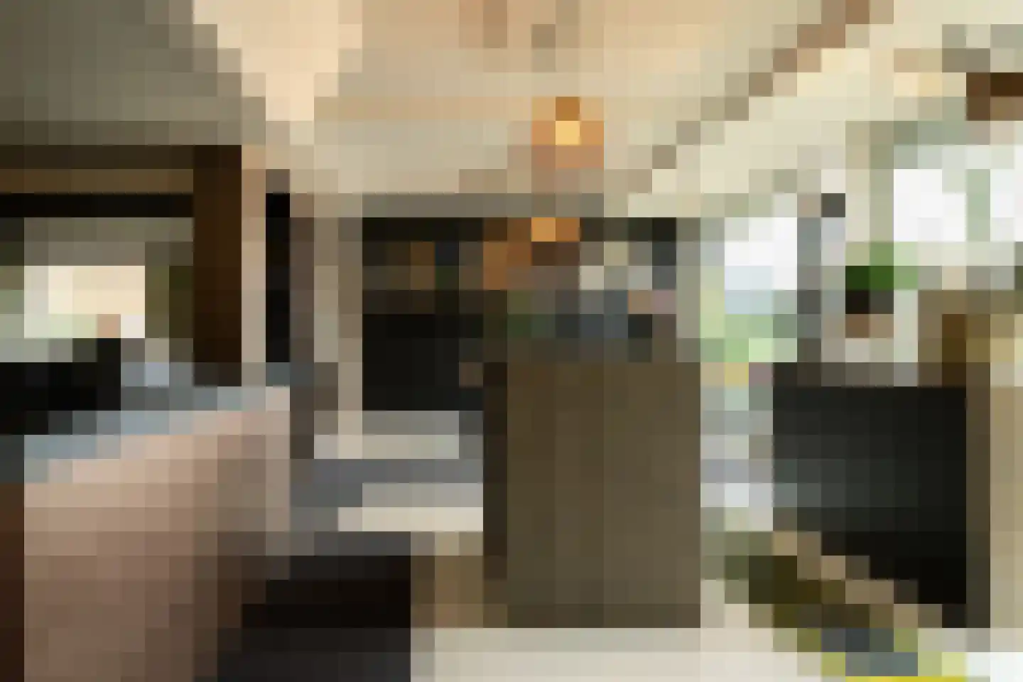 Schooldijk 3 Nieuw-Amsterdam thumbnail 32