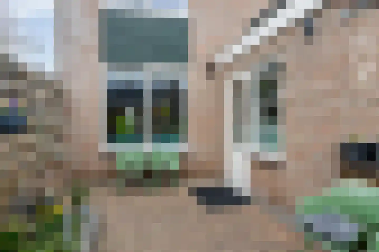 Schooldijkje 13 Leeuwarden thumbnail 40