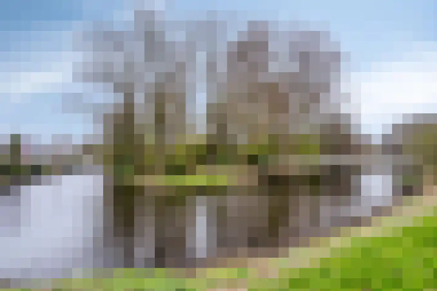 Schooldijkje 13 Leeuwarden thumbnail 59