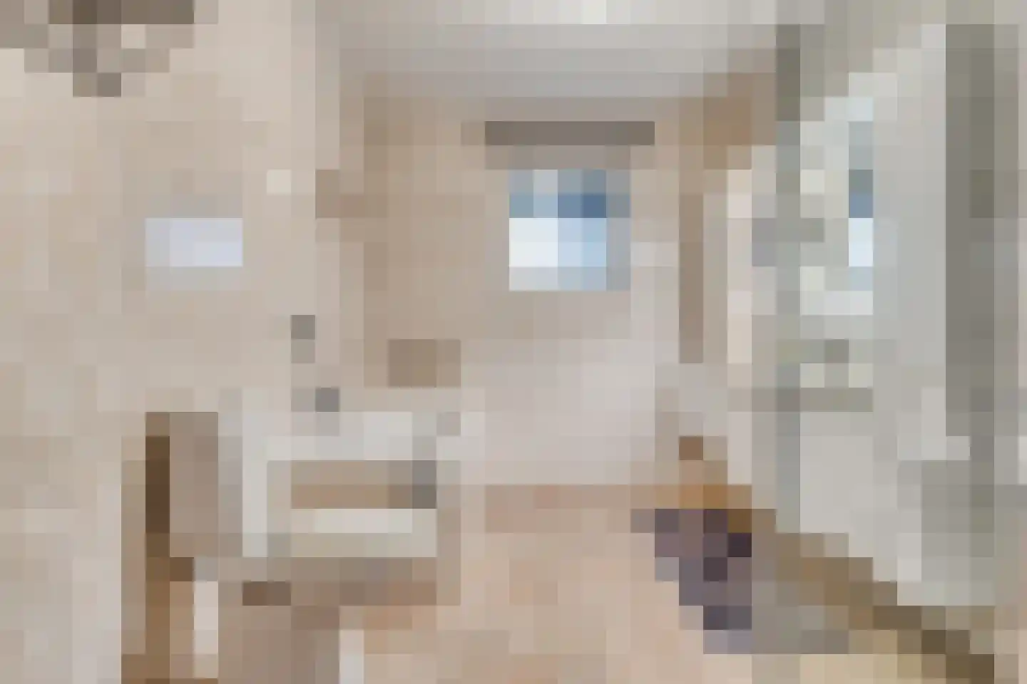 Schooldreef 1 B Heikant thumbnail 20