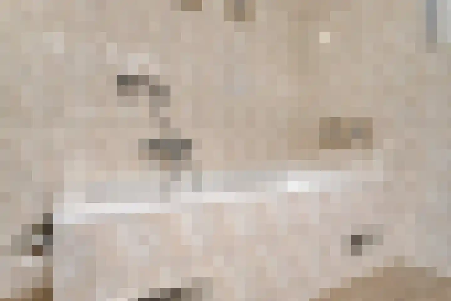 Schooldreef 1 B Heikant thumbnail 23