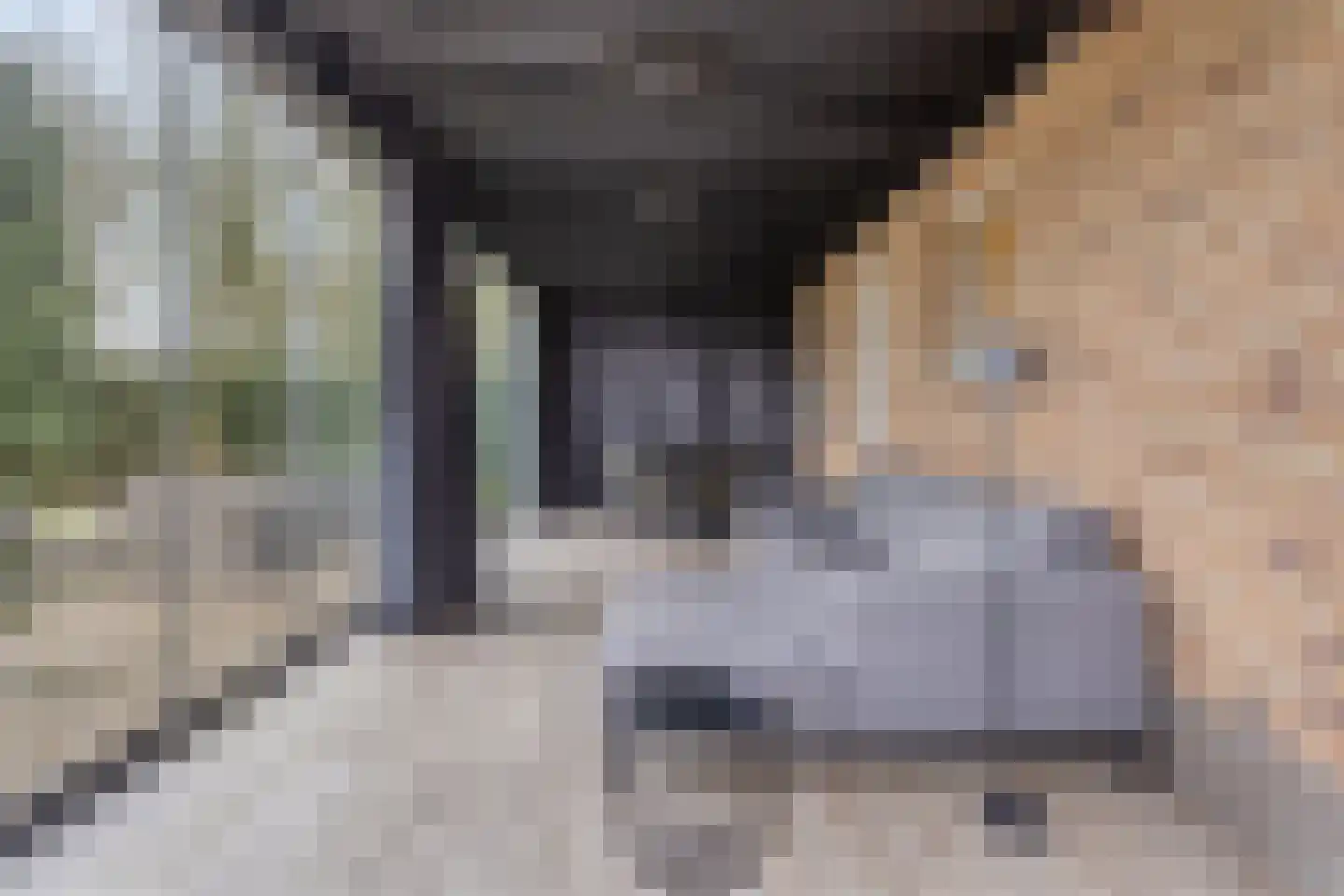 Schooldreef 1 B Heikant thumbnail 34
