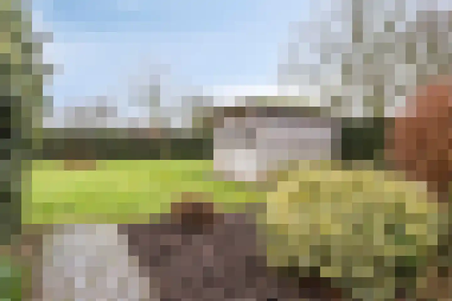 Schooldreef 1 B Heikant thumbnail 41