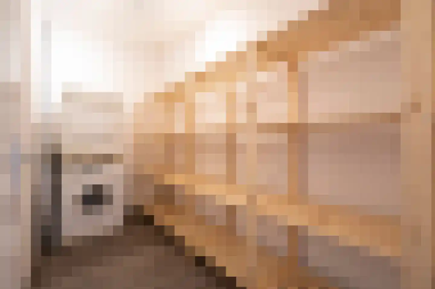 Schooldwarsstraat 52 Papendrecht thumbnail 12