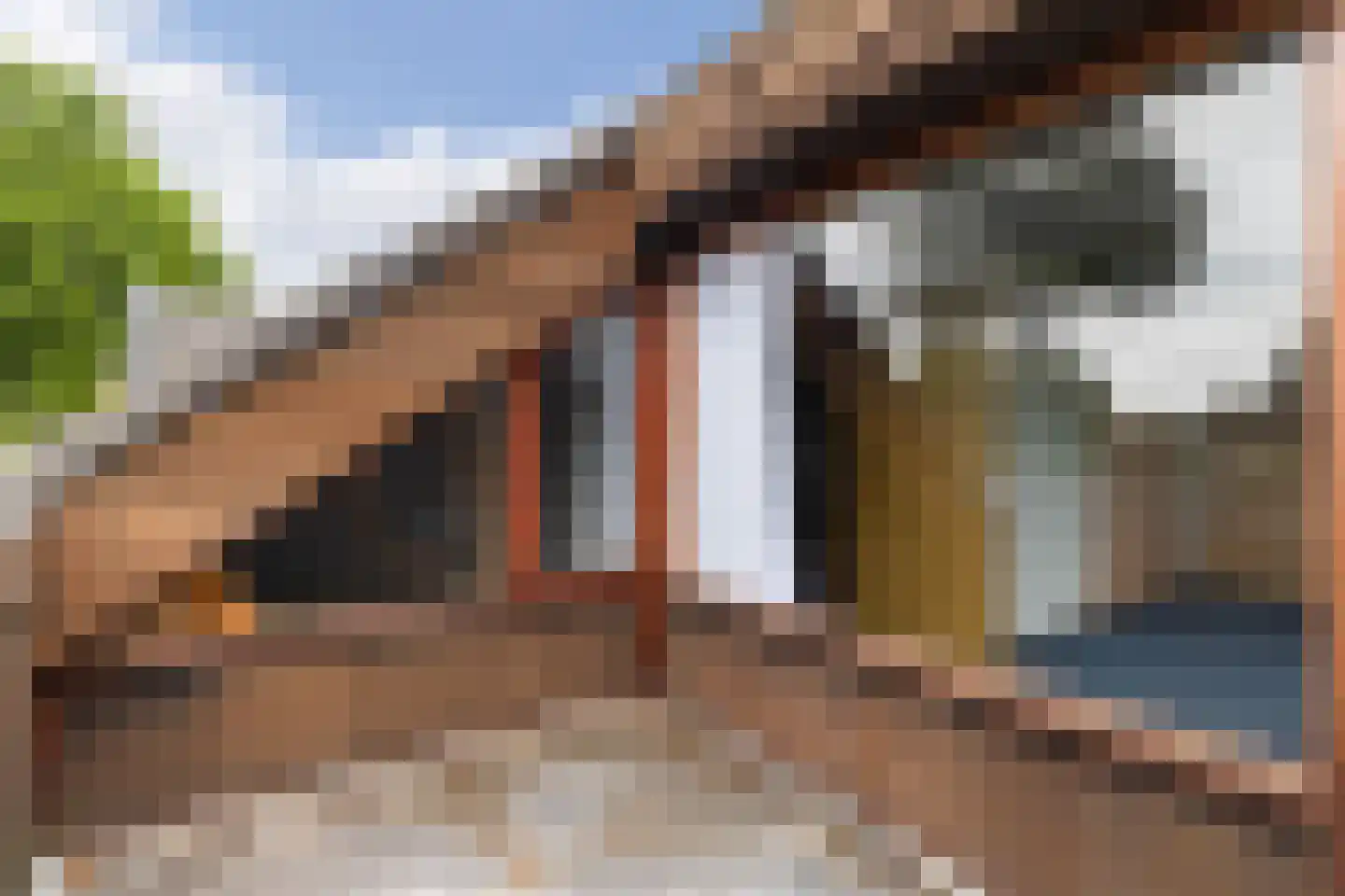 Schooldwarsweg 31 Austerlitz thumbnail 27