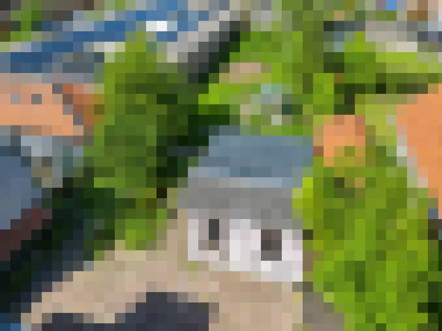 Schooldwarsweg 31 Austerlitz thumbnail 31