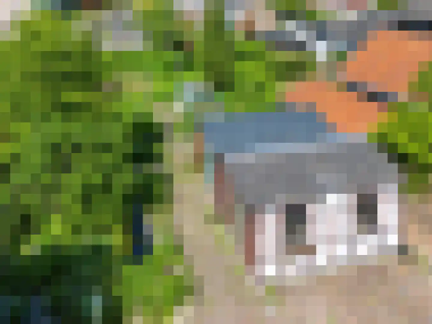 Schooldwarsweg 31 Austerlitz thumbnail 32