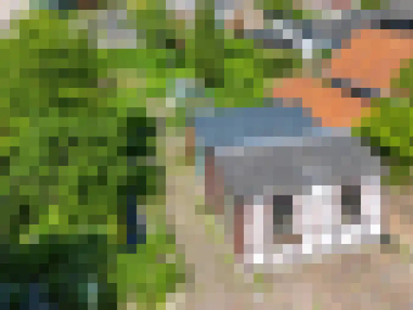 Schooldwarsweg 31 Austerlitz thumbnail 33