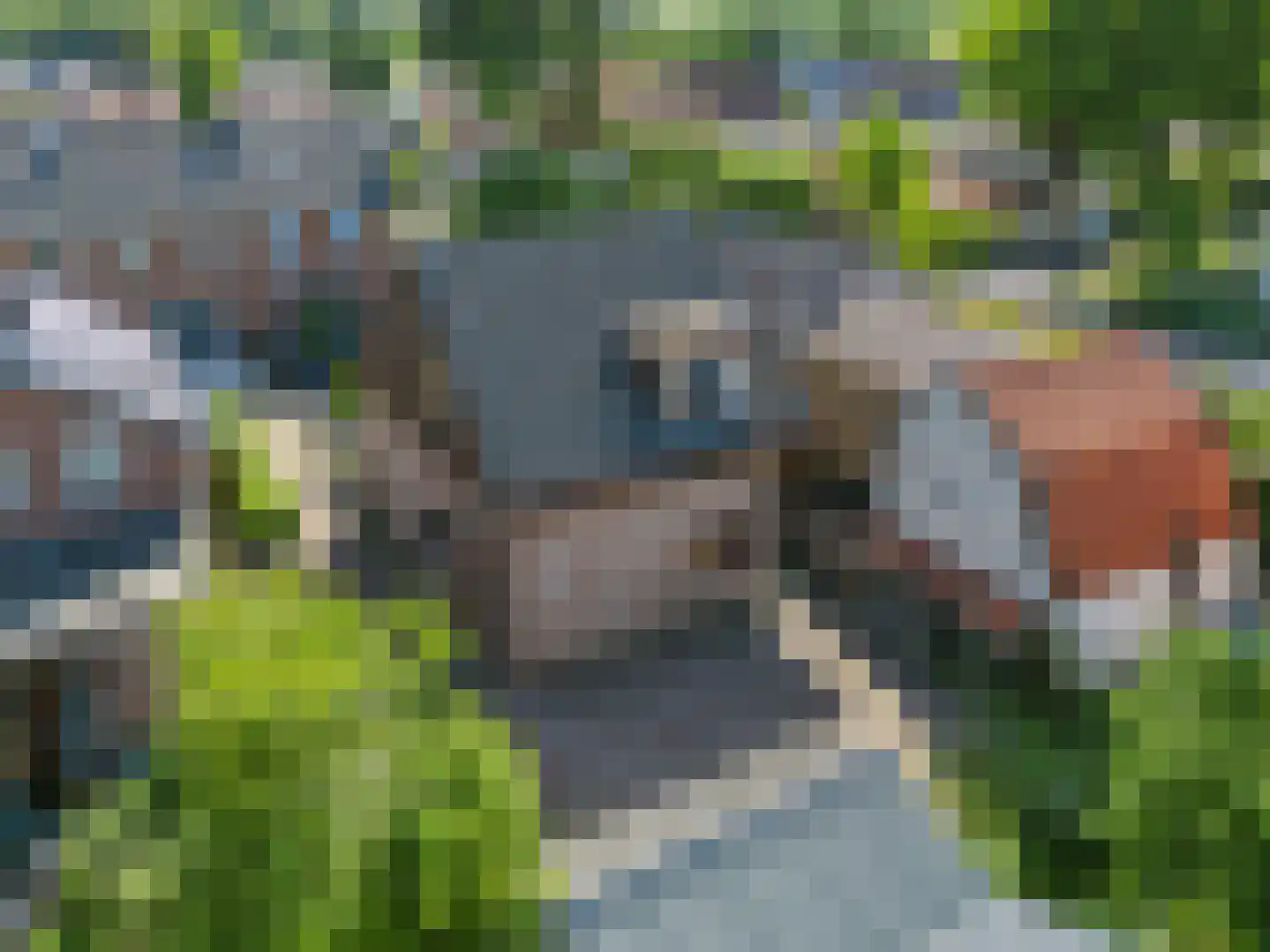 Schooldwarsweg 31 Austerlitz thumbnail 34
