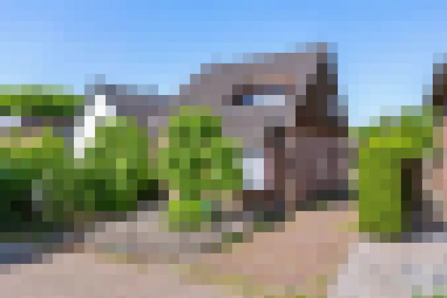 Schooldwarsweg 31 Austerlitz thumbnail 35