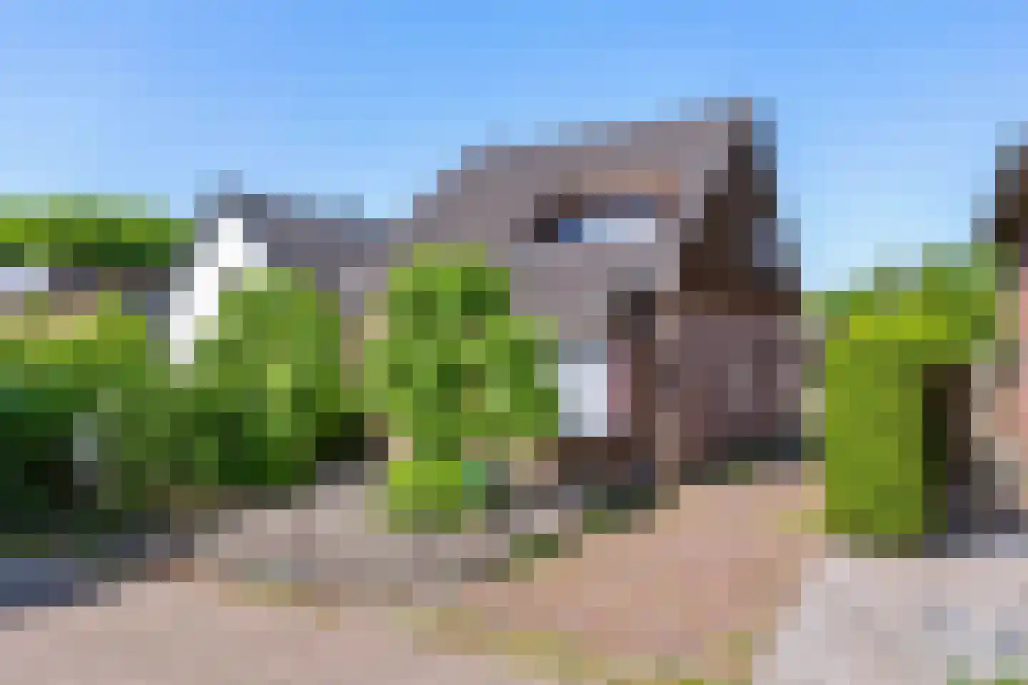 Schooldwarsweg 31 Austerlitz thumbnail 36