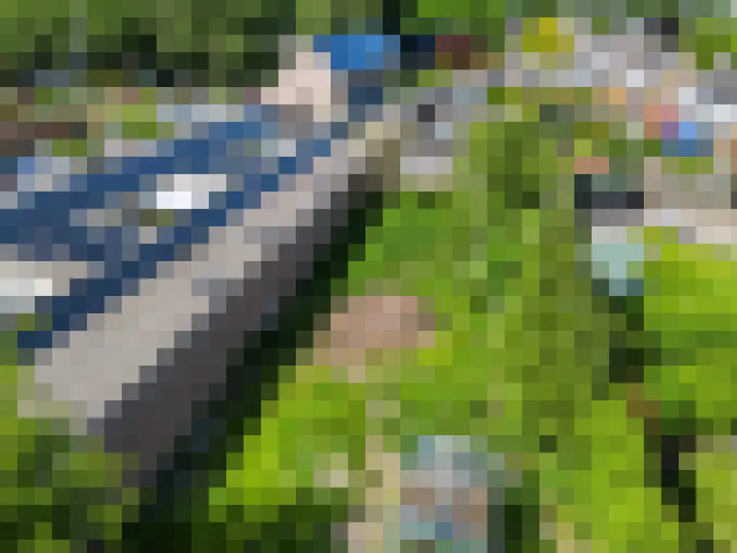 Schooldwarsweg 31 Austerlitz thumbnail 36