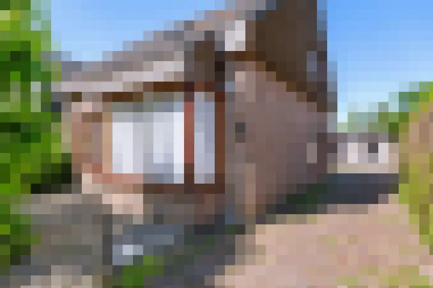Schooldwarsweg 31 Austerlitz thumbnail 39
