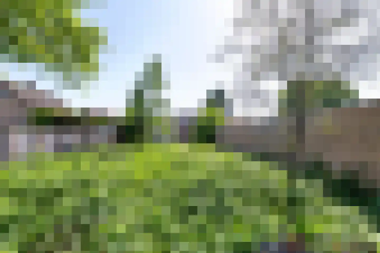 Schooldwarsweg 31 Austerlitz thumbnail 4