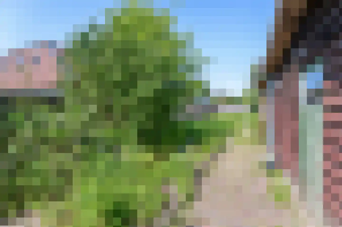 Schooldwarsweg 31 Austerlitz thumbnail 43