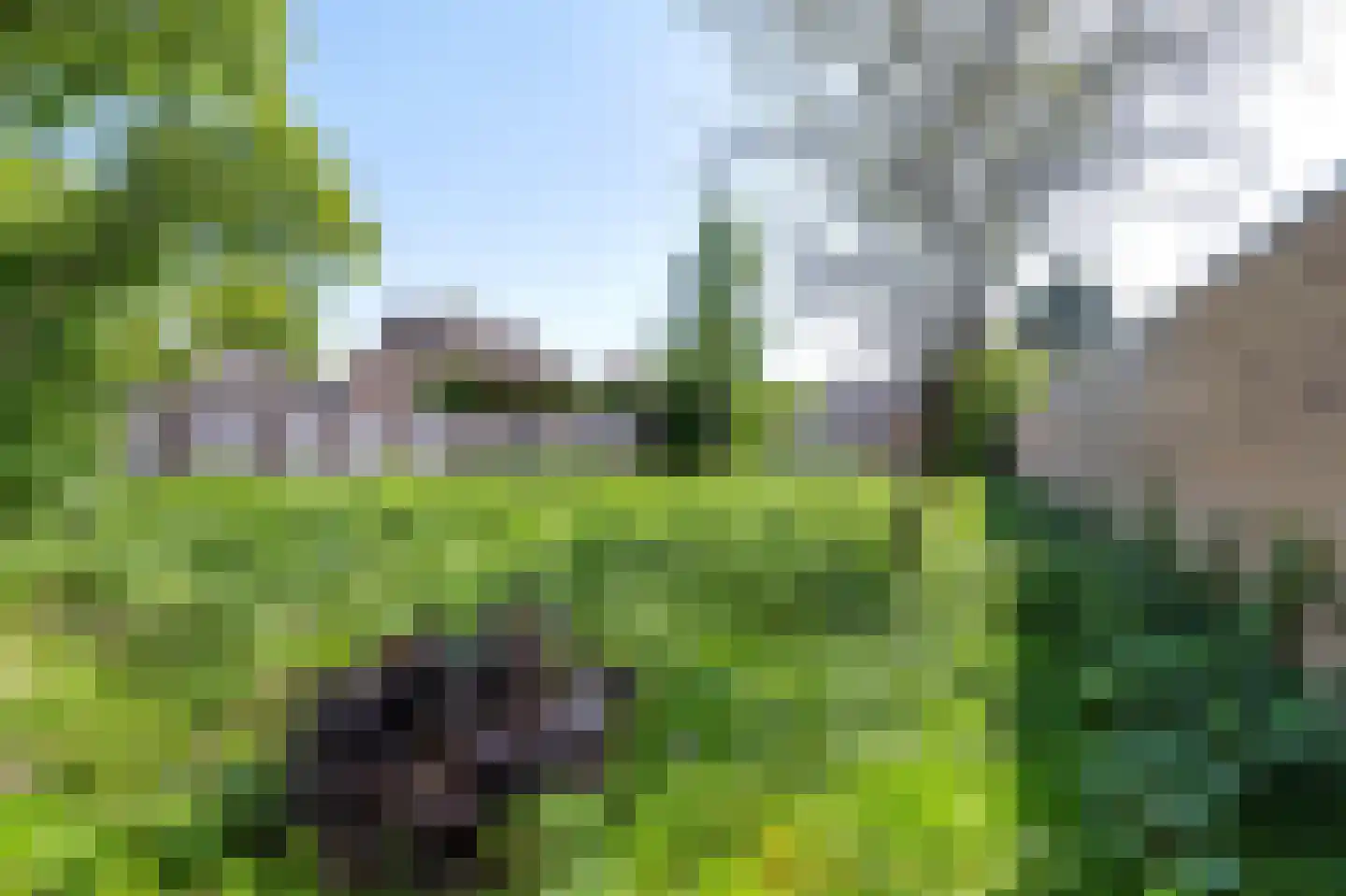 Schooldwarsweg 31 Austerlitz thumbnail 49
