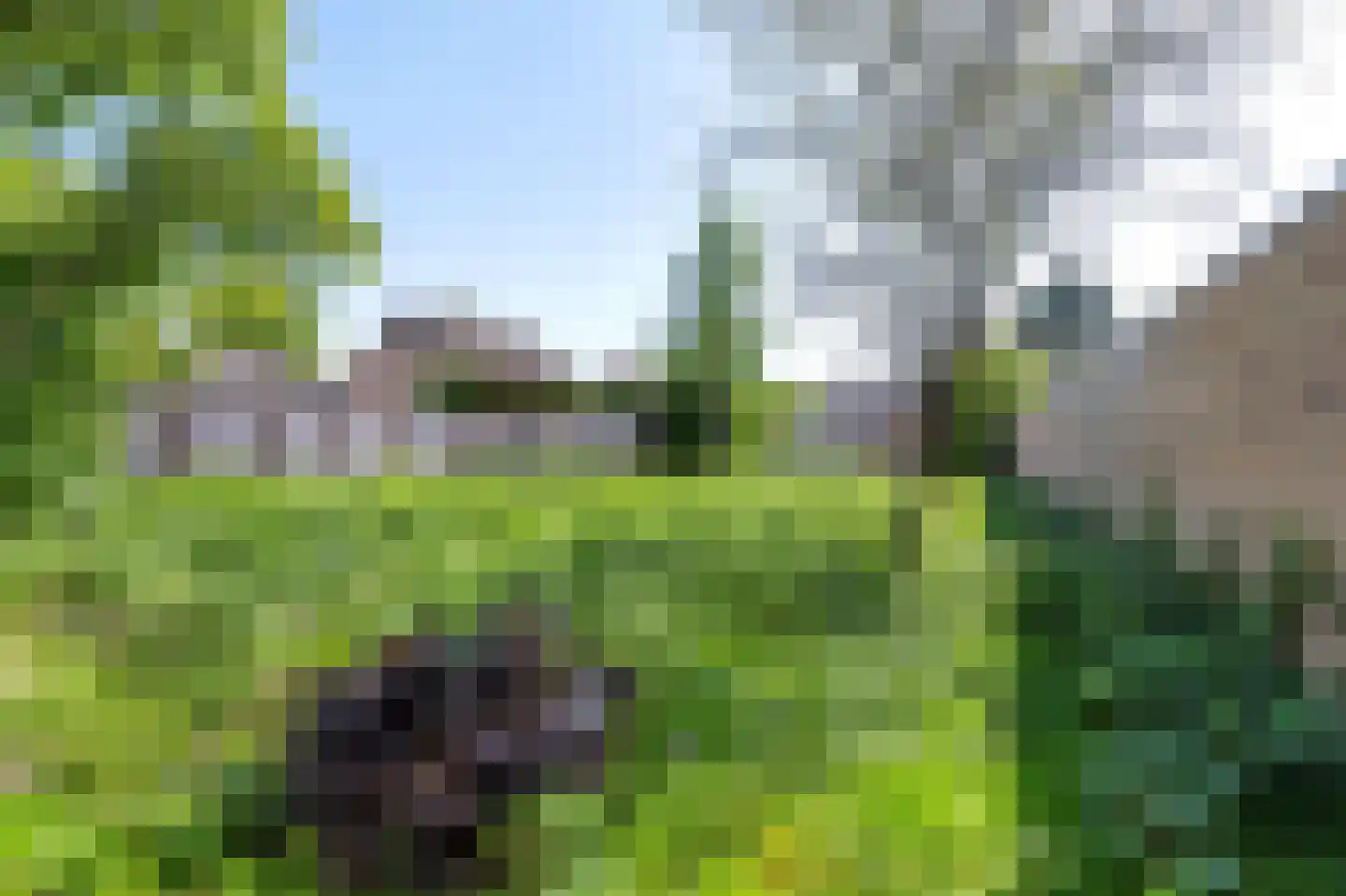 Schooldwarsweg 31 Austerlitz thumbnail 50
