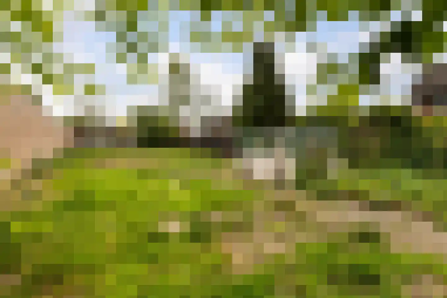 Schooldwarsweg 31 Austerlitz thumbnail 53